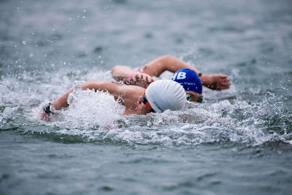 游泳选手百米争夺，中国游泳队波澜壮阔的简单介绍