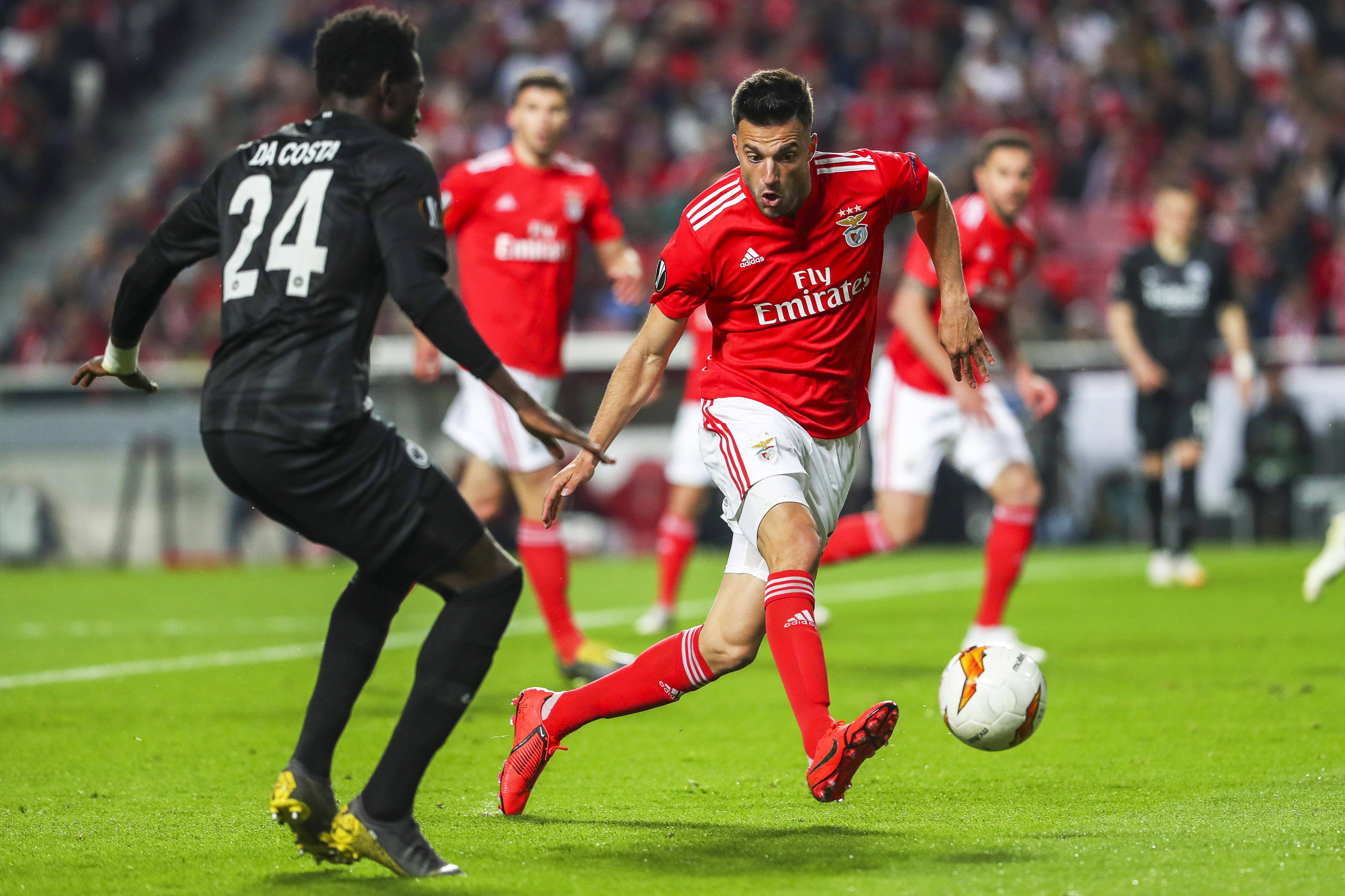 布莱顿主场不敌对手，积分暂停