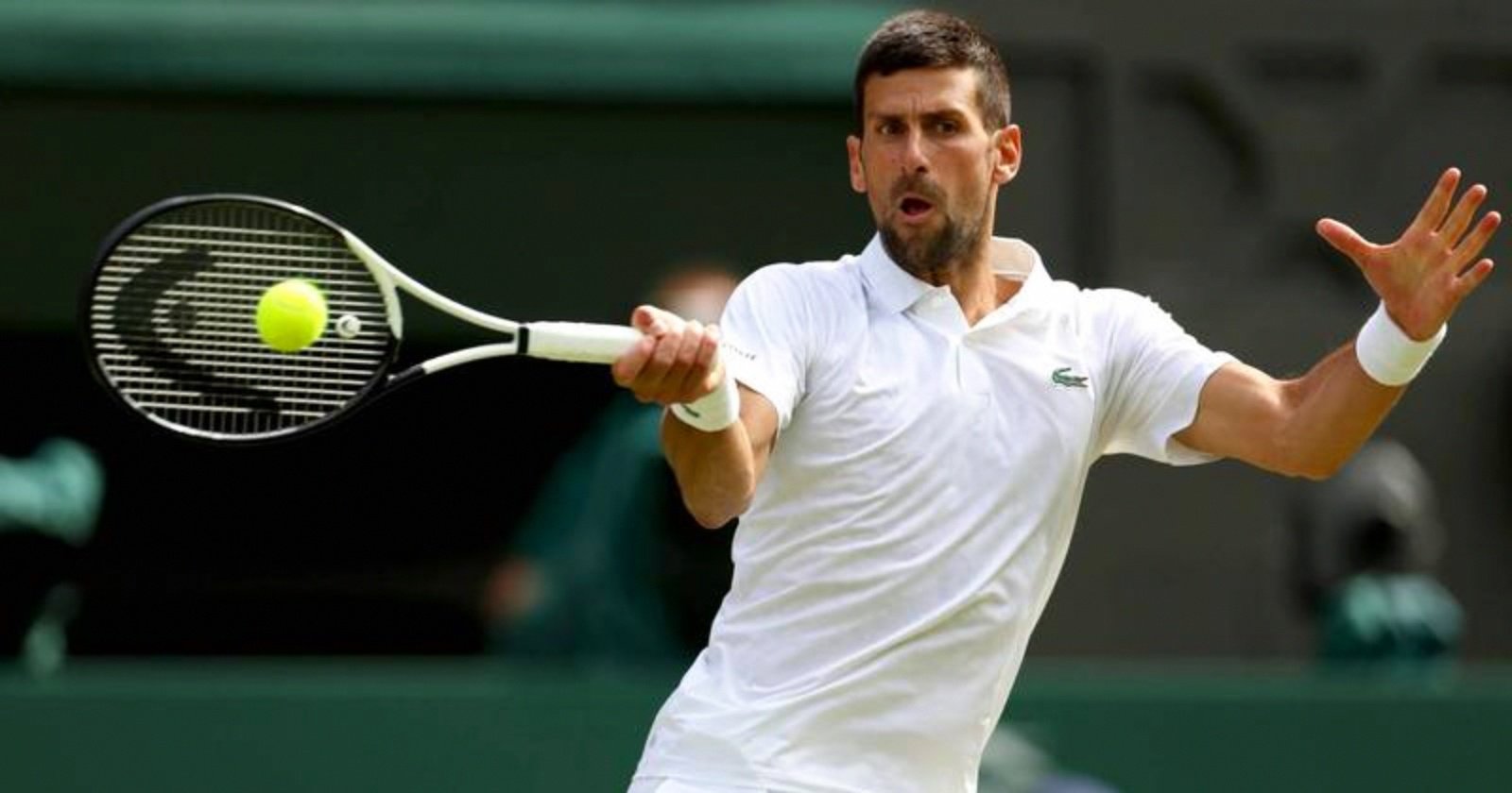 蒙特卡洛大师赛碾压ATP总决赛,德约科维奇统治全场的简单介绍 蒙特卡洛大师赛碾压ATP总决赛,德约科维奇统治全场的简单介绍