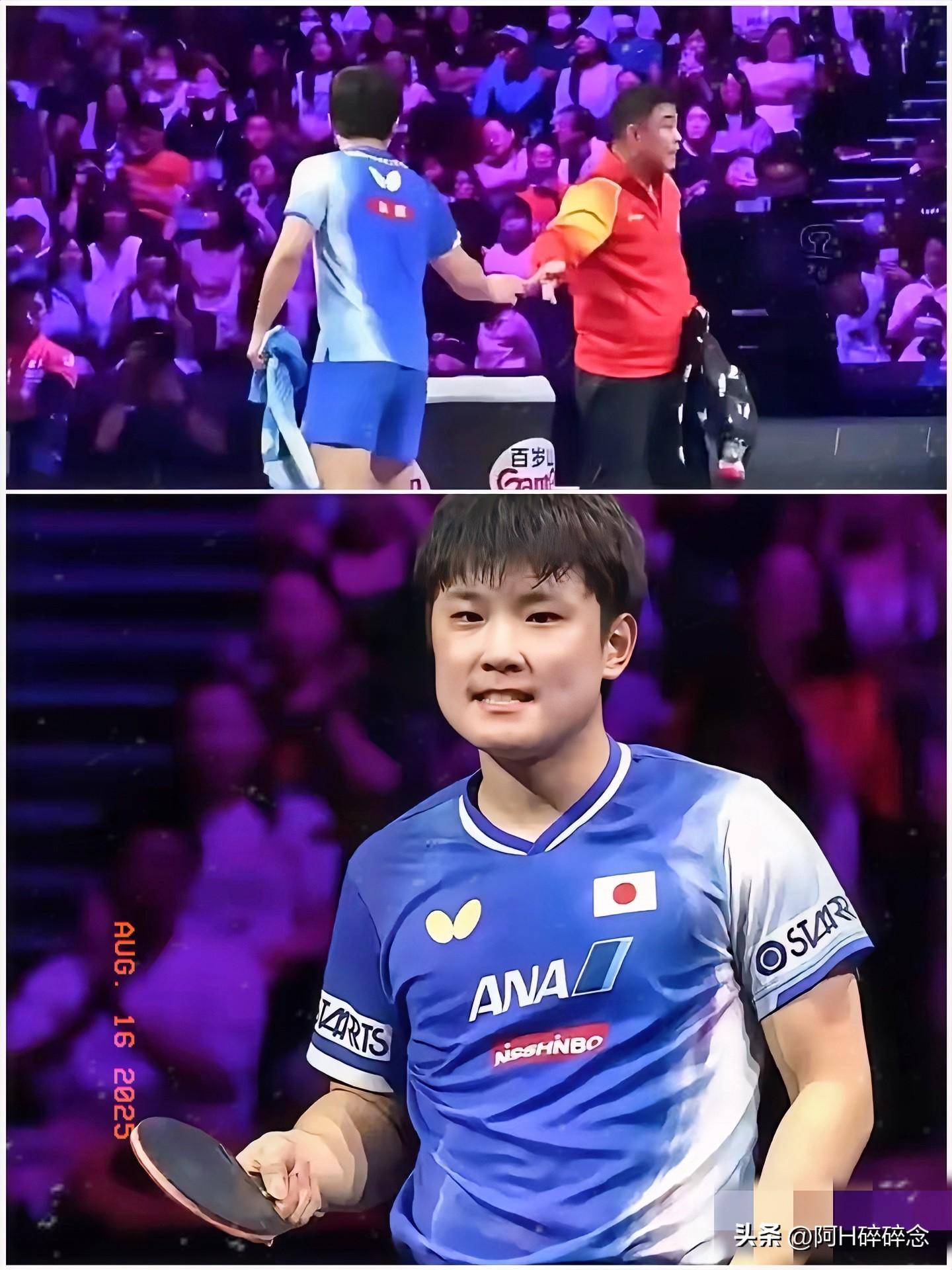 关于日本队完胜法国队，张本智和惊艳四座的信息